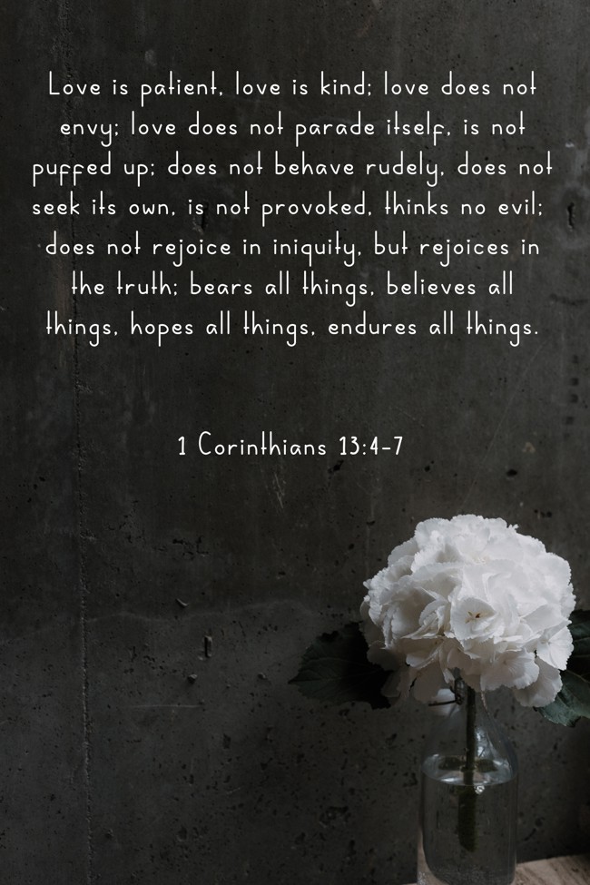 Love is patient, love is kind; love does not envy; love does not parade itself, is not puffed up; does not behave rudely, does not seek its own, is not provoked, thinks no evil; does not rejoice in iniquity, but rejoices in the truth; bears all things, believes all things, hopes all things, endures all things. - 1 Corinthians 13:4-7