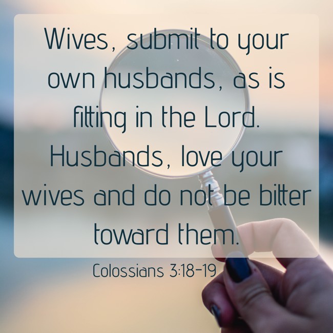 Wives, submit to your own husbands, as is fitting in the Lord. Husbands, love your wives and do not be bitter toward them. - Colossians 3:18-19
