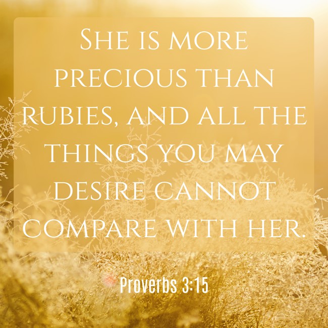 She is more precious than rubies, and all the things you may desire cannot compare with her. - Proverbs 3:15