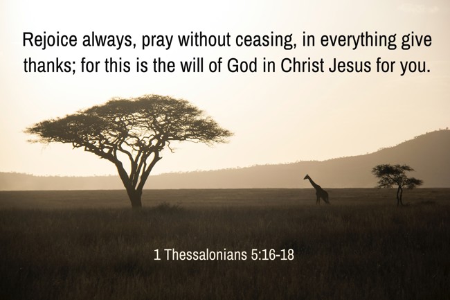 Rejoice always, pray without ceasing, in everything give thanks; for this is the will of God in Christ Jesus for you. - 1 Thessalonians 5:16-18