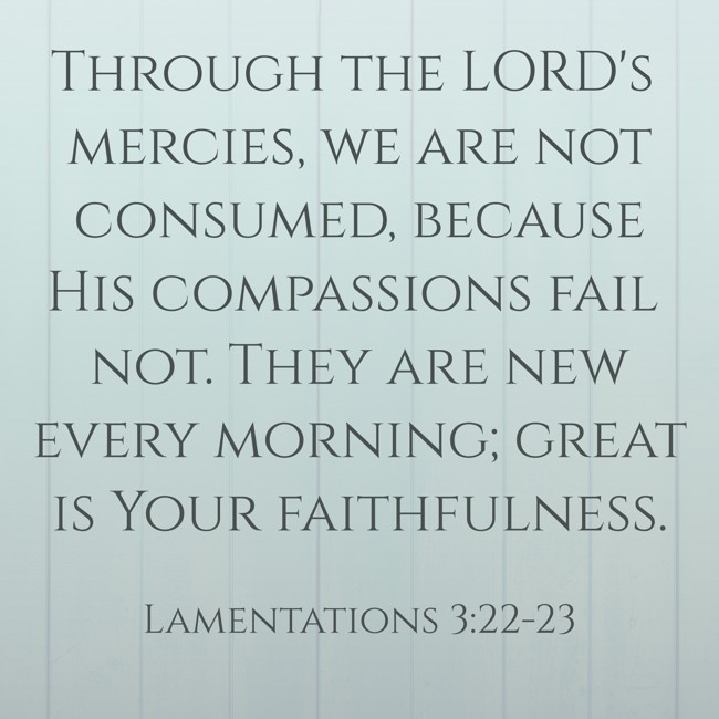 Through the LORD's mercies, we are not consumed, because His compassions fail not. They are new every morning; great is Your faithfulness. - Lamentations 3:22-23