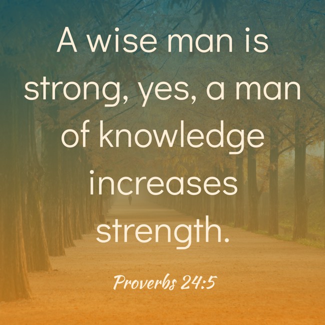 A wise man is strong, yes, a man of knowledge increases strength. - Proverbs 24:5