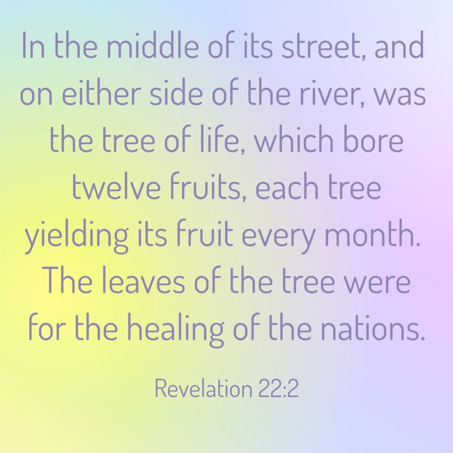 In the middle of its street, and on either side of the river, was the tree of life, which bore twelve fruits, each tree yielding its fruit every month. The leaves of the tree were for the healing of the nations. - Revelation 22:2