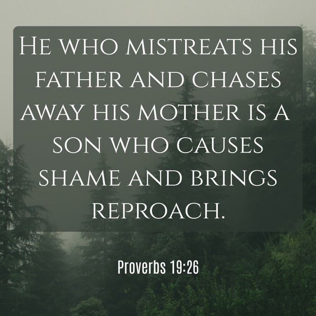 He who mistreats his father and chases away his mother is a son who causes shame and brings reproach. - Proverbs 19:26