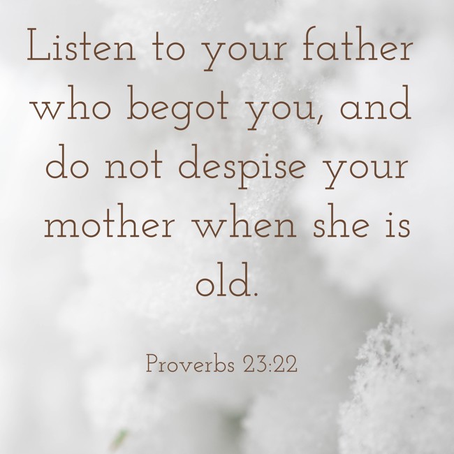 Listen to your father who begot you, and do not despise your mother when she is old. - Proverbs 23:22
