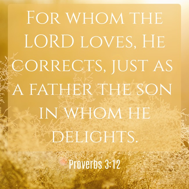 For whom the LORD loves, He corrects, just as a father the son in whom he delights. - Proverbs 3:12