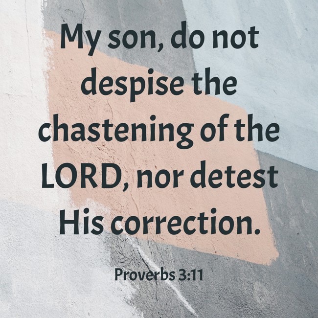 My son, do not despise the chastening of the LORD, nor detest His correction. - Proverbs 3:11