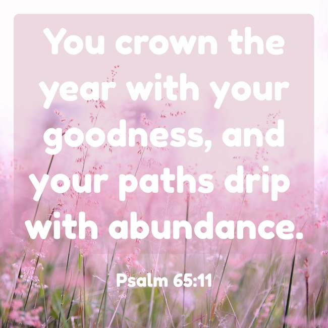 You crown the year with your goodness, and your paths drip with abundance. - Psalm 65:11