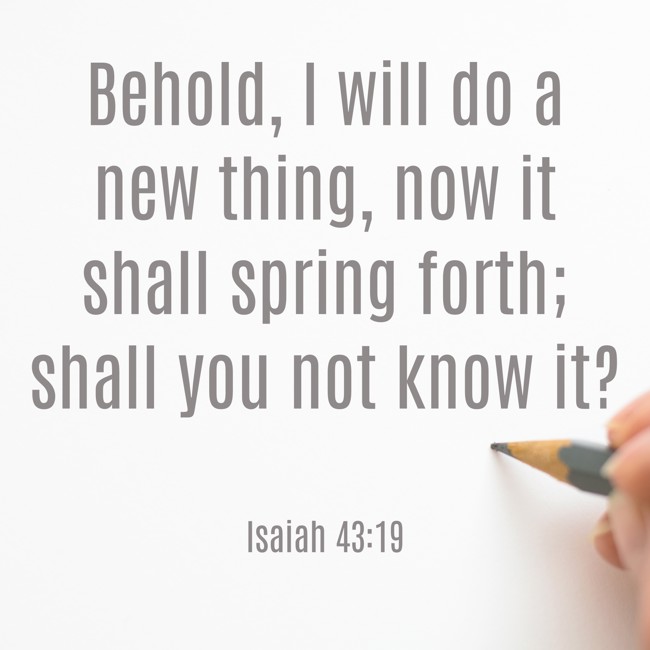 Behold, I will do a new thing, now it shall spring forth; shall you not know it? - Isaiah 43:19