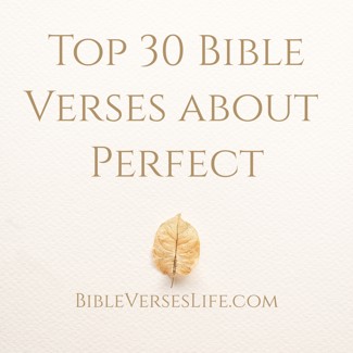 Top 30 Bible Verses about Perfect