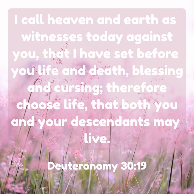 I call heaven and earth as witnesses today against you, that I have set before you life and death, blessing and cursing; therefore choose life, that both you and your descendants may live. - Deuteronomy 30:19