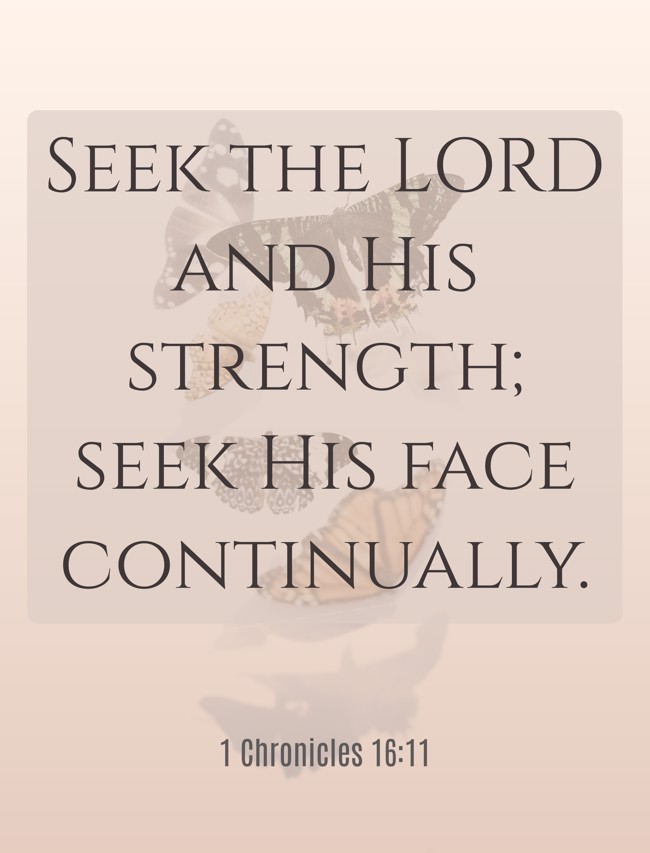 Seek the LORD and His strength; seek His face continually. - 1 Chronicles 16:11