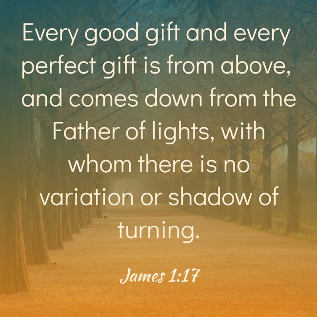 Every good gift and every perfect gift is from above, and comes down from the Father of lights, with whom there is no variation or shadow of turning. - James 1:17