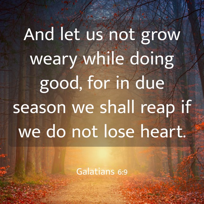 And let us not grow weary while doing good, for in due season we shall reap if we do not lose heart. - Galatians 6:9