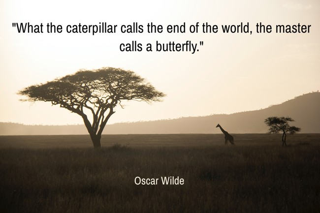 What the caterpillar calls the end of the world, the master calls a butterfly. - Oscar Wilde