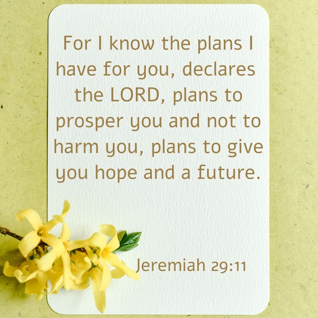 For I know the plans I have for you, declares the LORD, plans to prosper you and not to harm you, plans to give you hope and a future. - Jeremiah 29:11