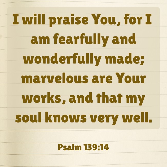 I will praise You, for I am fearfully and wonderfully made; marvelous are Your works, and that my soul knows very well. - Psalm 139:14
