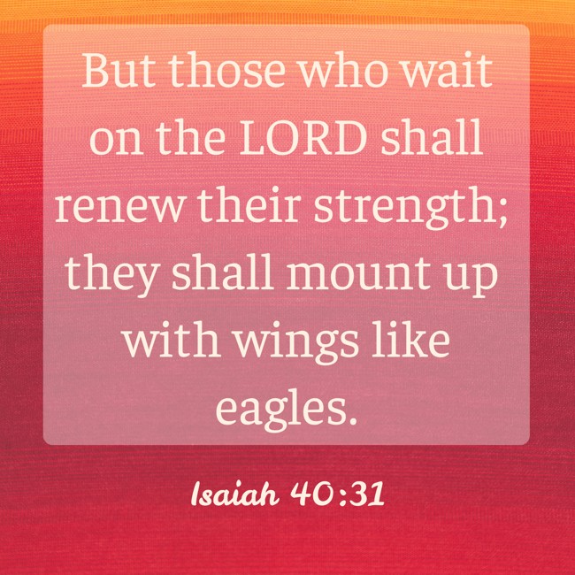 But those who wait on the LORD shall renew their strength; they shall mount up with wings like eagles. - Isaiah 40:31