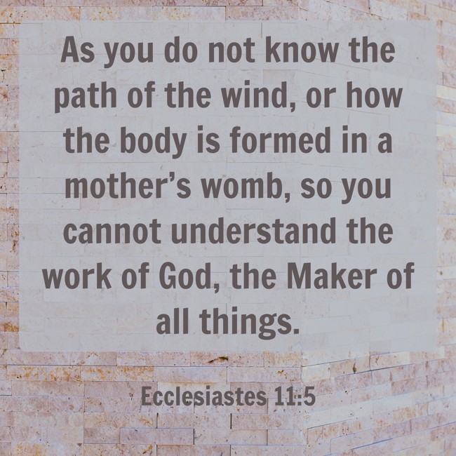 As you do not know the path of the wind, or how the body is formed in a mother’s womb, so you cannot understand the work of God, the Maker of all things. - Ecclesiastes 11:5