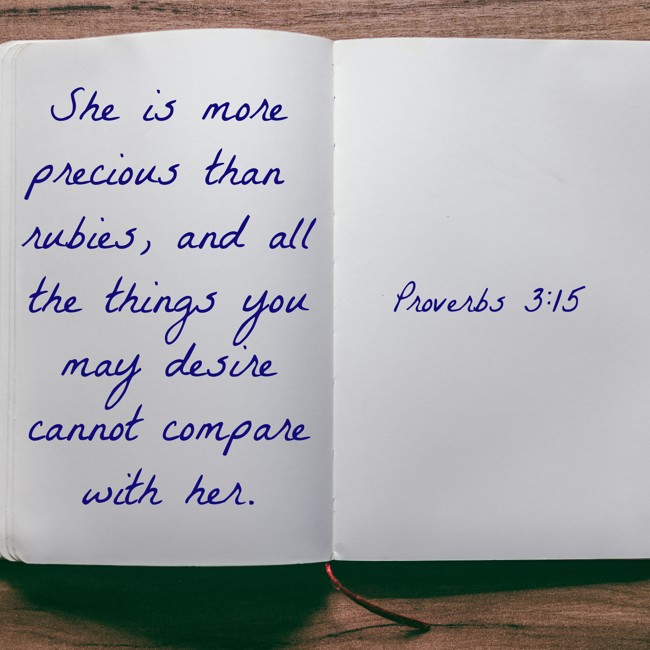 She is more precious than rubies, and all the things you may desire cannot compare with her. - Proverbs 3:15