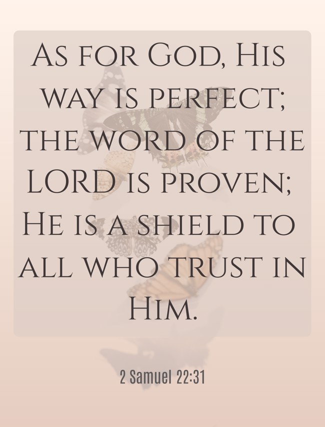 As for God, His way is perfect; the word of the LORD is proven; He is a shield to all who trust in Him. - 2 Samuel 22:31