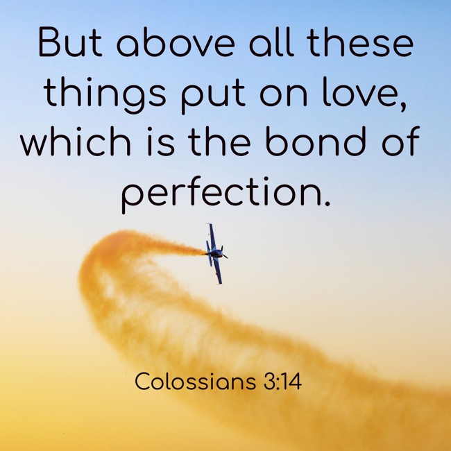 But above all these things put on love, which is the bond of perfection. - Colossians 3:14