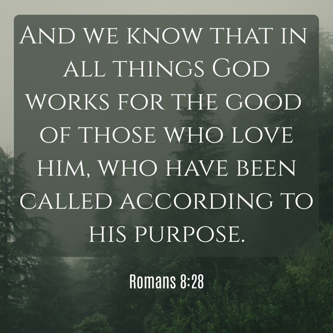 And we know that in all things God works for the good of those who love him, who have been called according to his purpose. - Romans 8:28