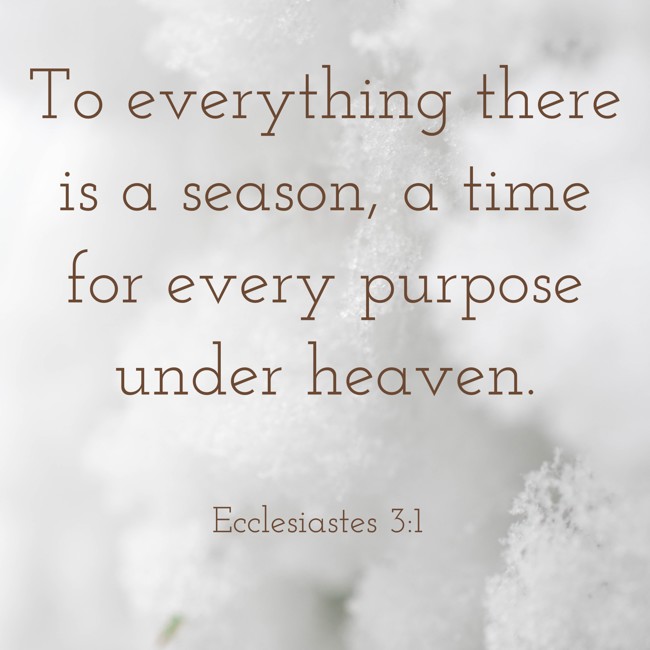 To everything there is a season, a time for every purpose under heaven. - Ecclesiastes 3:1
