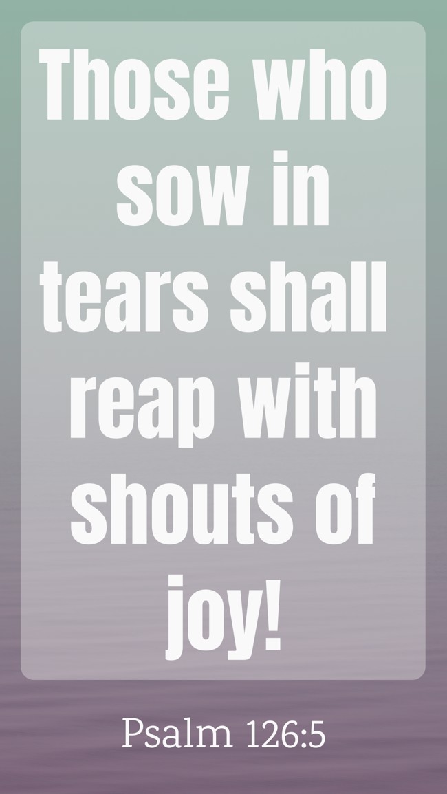 Those who sow in tears shall reap with shouts of joy! - Psalm 126:5