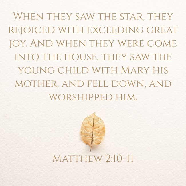 When they saw the star, they rejoiced with exceeding great joy. And when they were come into the house, they saw the young child with Mary his mother, and fell down, and worshipped him. - Matthew 2:10-11