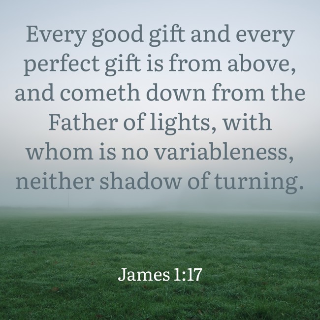 Every good gift and every perfect gift is from above, and cometh down from the Father of lights, with whom is no variableness, neither shadow of turning. - James 1:17
