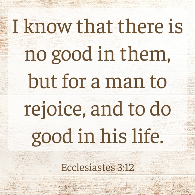 I know that there is no good in them, but for a man to rejoice, and to do good in his life. - Ecclesiastes 3:12