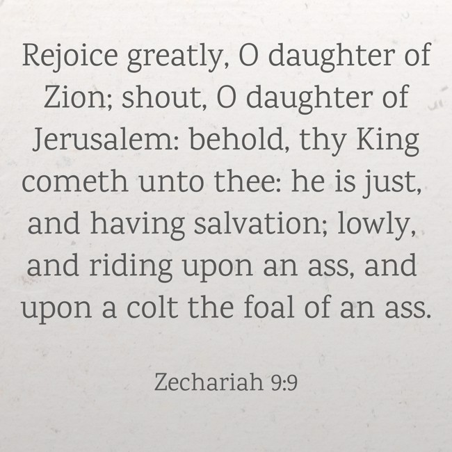 Rejoice greatly, O daughter of Zion; shout, O daughter of Jerusalem: behold, thy King cometh unto thee: he is just, and having salvation; lowly, and riding upon an ass, and upon a colt the foal of an ass. - Zechariah 9:9