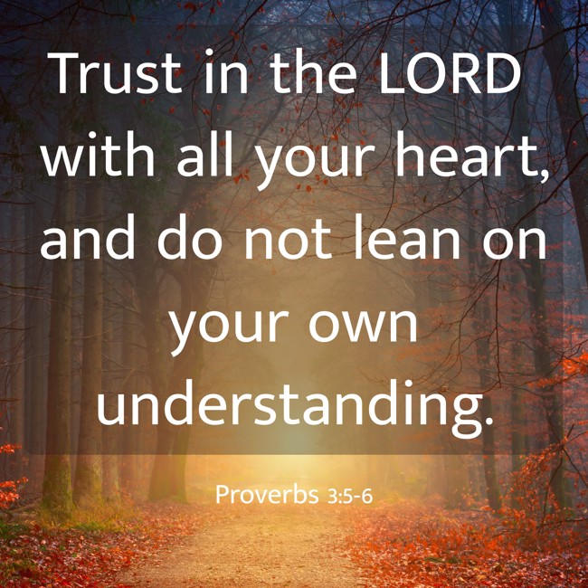  Trust in the LORD with all your heart, and do not lean on your own understanding.   - Proverbs 3:5-6 