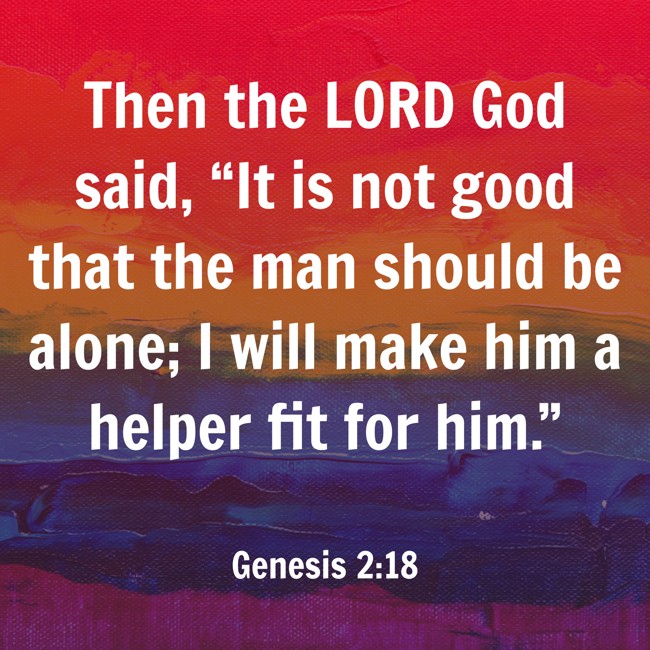  Then the LORD God said, “It is not good that the man should be alone; I will make him a helper fit for him.”   - Genesis 2:18 