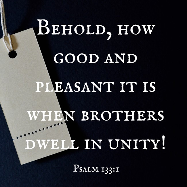  Behold, how good and pleasant it is when brothers dwell in unity!   - Psalm 133:1 