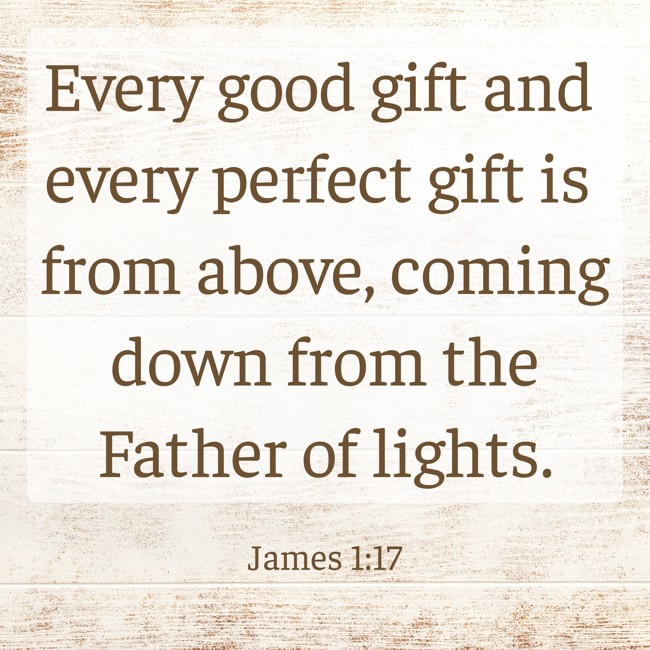  Every good gift and every perfect gift is from above, coming down from the Father of lights.   - James 1:17 