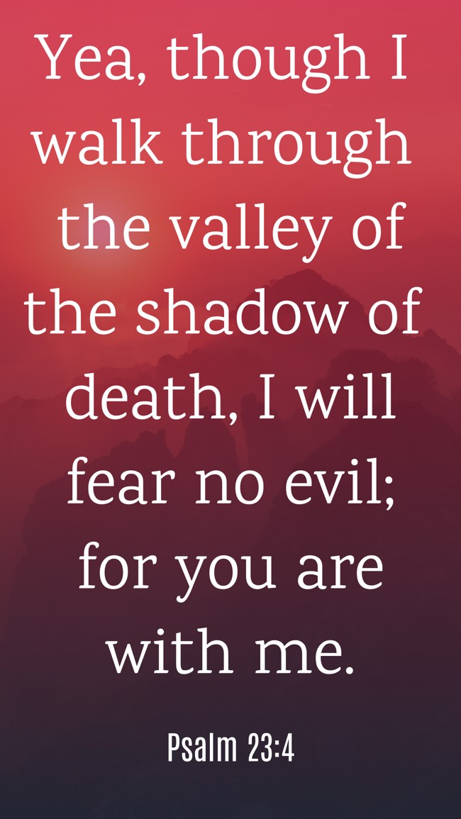 Yea, though I walk through the valley of the shadow of death, I will fear no evil; for you are with me. - Psalm 23:4
