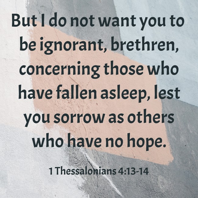 But I do not want you to be ignorant, brethren, concerning those who have fallen asleep, lest you sorrow as others who have no hope. - 1 Thessalonians 4:13-14