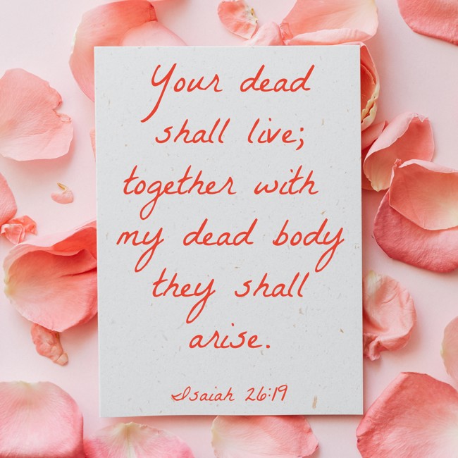 Your dead shall live; together with my dead body they shall arise. - Isaiah 26:19