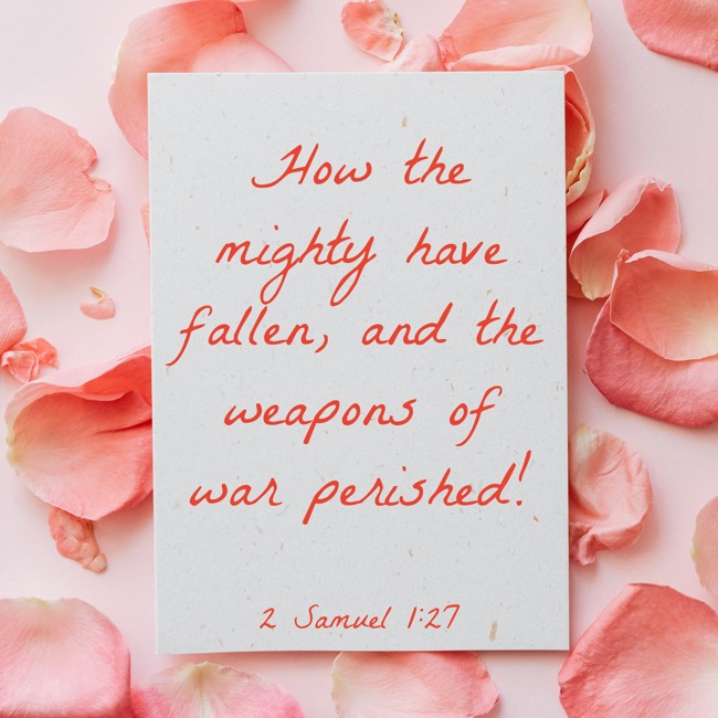 How the mighty have fallen, and the weapons of war perished! - 2 Samuel 1:27