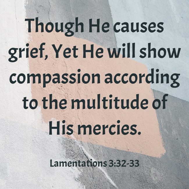 Though He causes grief, Yet He will show compassion according to the multitude of His mercies. - Lamentations 3:32-33