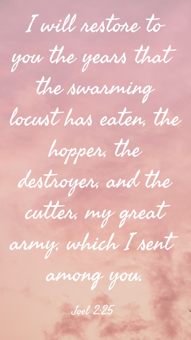 I will restore to you the years that the swarming locust has eaten, the hopper, the destroyer, and the cutter, my great army, which I sent among you. - Joel 2:25