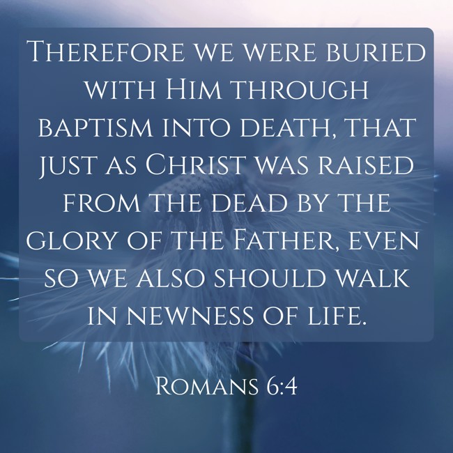 Therefore we were buried with Him through baptism into death, that just as Christ was raised from the dead by the glory of the Father, even so we also should walk in newness of life. - Romans 6:4
