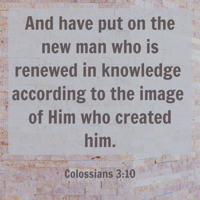 And have put on the new man who is renewed in knowledge according to the image of Him who created him. - Colossians 3:10