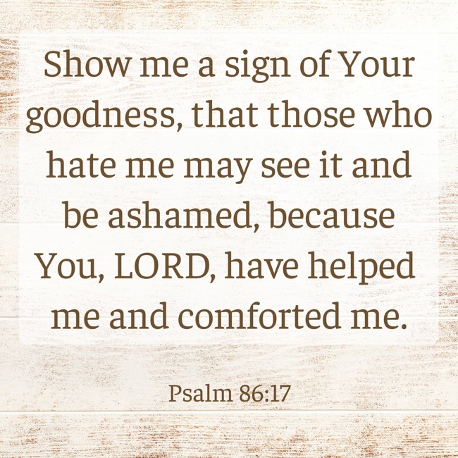 Show me a sign of Your goodness, that those who hate me may see it and be ashamed, because You, LORD, have helped me and comforted me. - Psalm 86:17