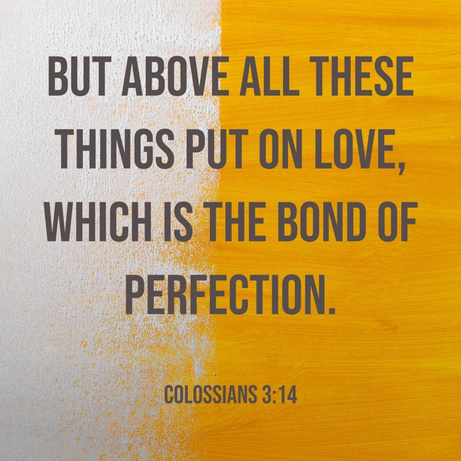 But above all these things put on love, which is the bond of perfection. - Colossians 3:14