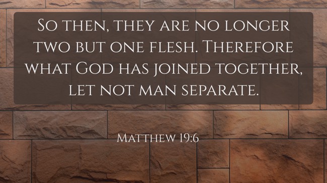 So then, they are no longer two but one flesh. Therefore what God has joined together, let not man separate. - Matthew 19:6