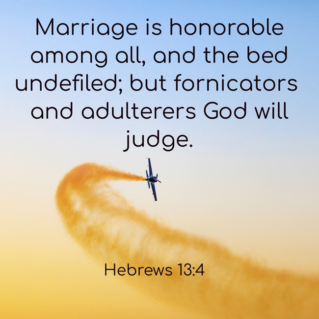 Marriage is honorable among all, and the bed undefiled; but fornicators and adulterers God will judge. - Hebrews 13:4