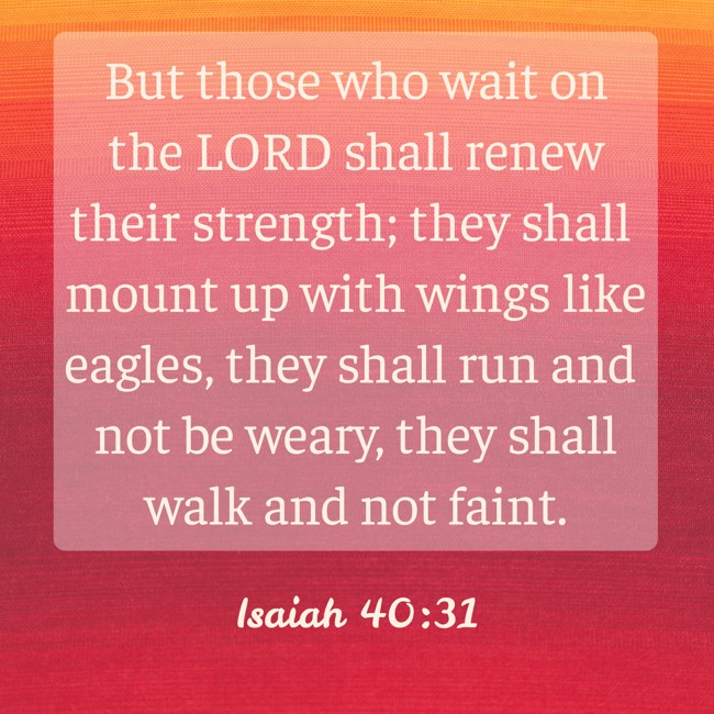  But those who wait on the LORD shall renew their strength; they shall mount up with wings like eagles, they shall run and not be weary, they shall walk and not faint.   - Isaiah 40:31 